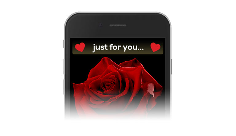 Send an E-Rose by email to Australia