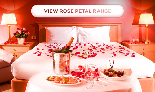 Fresh rose petals sprinkled on the bed