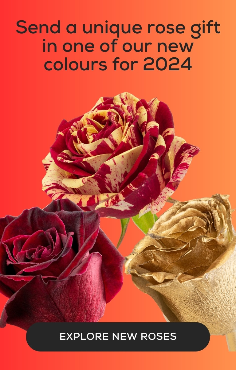 Check out our range of unique rose colours