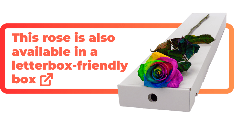 This happy rainbow rose is also available in a letterbox-friendly box.