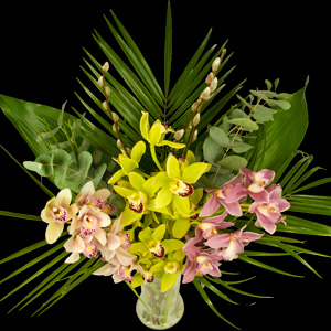 Bouquet of Extra Luxury Cymbidium Orchids
