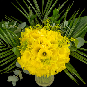 Bouquet of Extra Luxury Daffodils