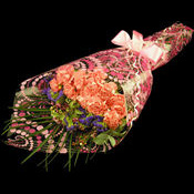 Bouquet of Carnations