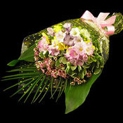 Bouquet of Freesias