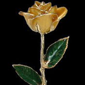 A Yellow 17Inch 24kt Gold Trimmed Rose