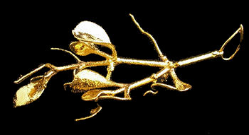 24Kt Gold Mistletoe from the 24Kt Gold Mistletoe Society!