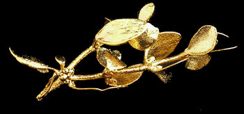 24Kt Gold Mistletoe from the 24Kt Gold Mistletoe Society!