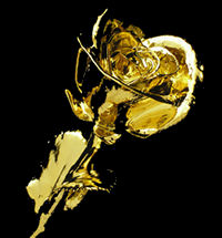 A Single 24kt Gold dipped Rose