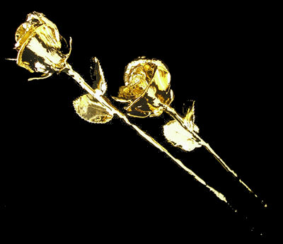 A Single 24kt Gold dipped Rose