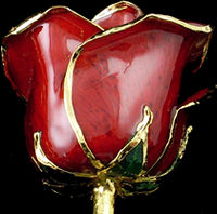 24Kt Gold Red Rose Head