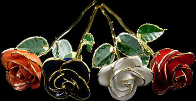 Our 12Inch 24kt Gold Trimmed Roses