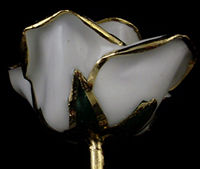 24Kt Gold White Rose Head