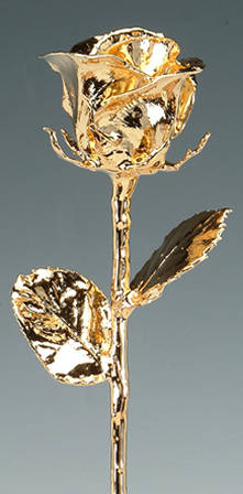 24kt Gold Dipped Rose