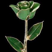 A Light Green 17Inch 24kt Gold Trimmed Rose