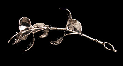 Platinum Mistletoe from the Platinum Mistletoe Society!