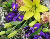 lily+asiatic+deluxe+bouquet+zoom+jpg