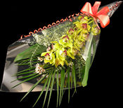 Bouquet of three Cymbidium Orchids