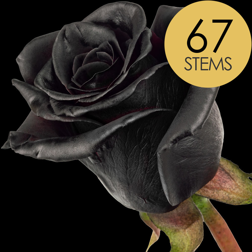 Buy Black Roses Online with Free Delivery from interROSE