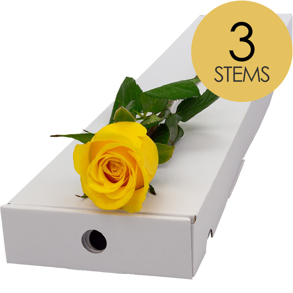 3 Letterbox Yellow Roses