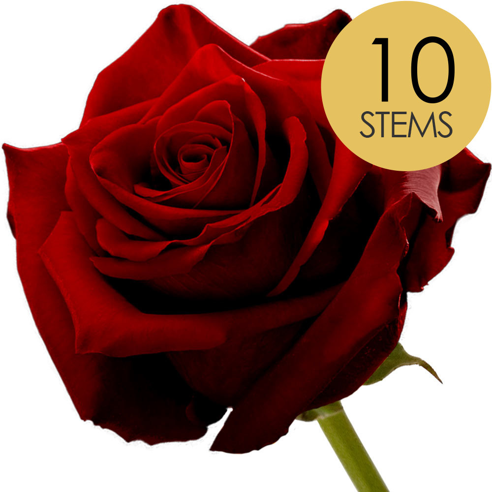 10 Red (Naomi) Roses