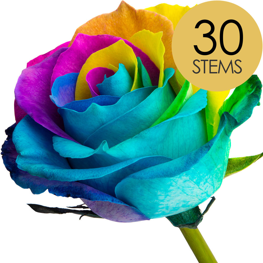 30 Happy (Rainbow) Roses