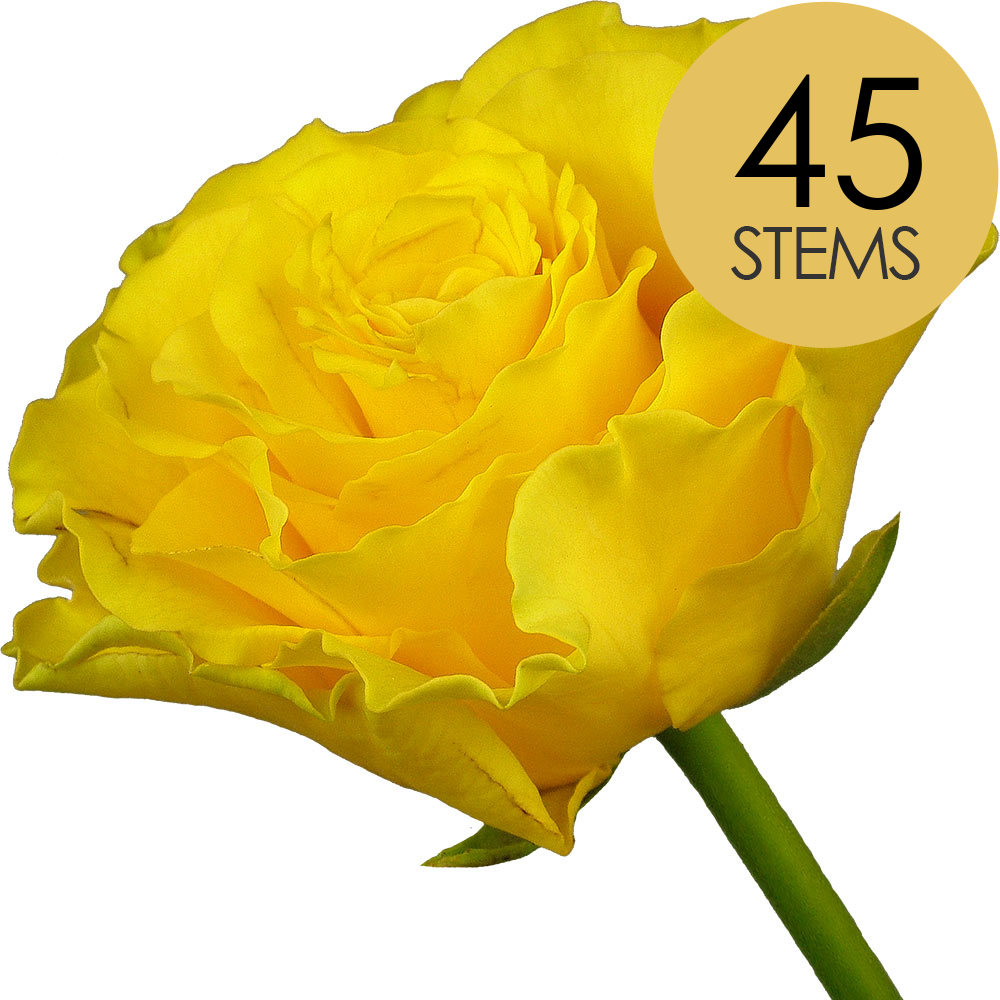 45 Yellow Roses