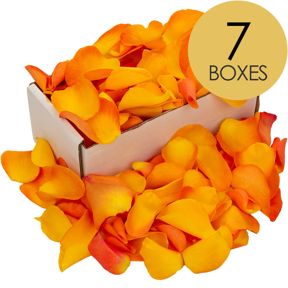 7 Boxes of Orange Rose Petals