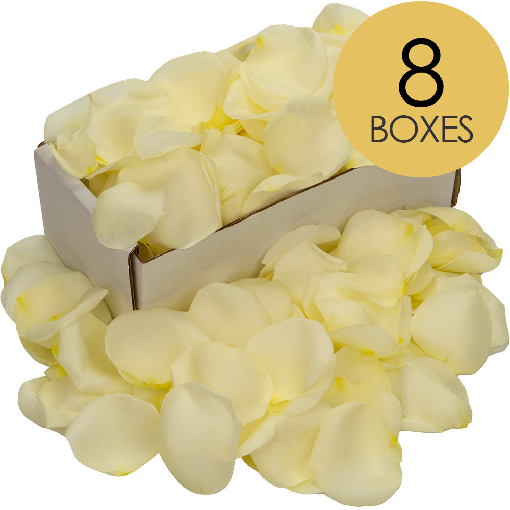 8 Boxes of White (Avalanche) Rose Petals