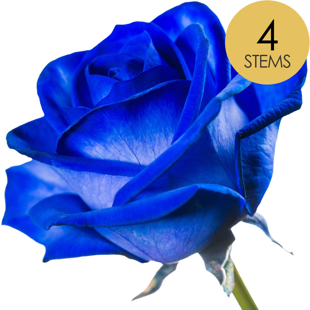 4 Blue (Dyed) Roses
