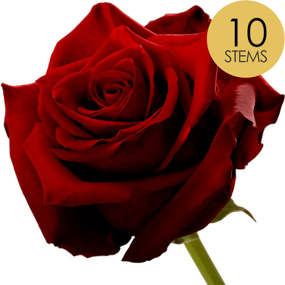 10 Red (Naomi) Roses