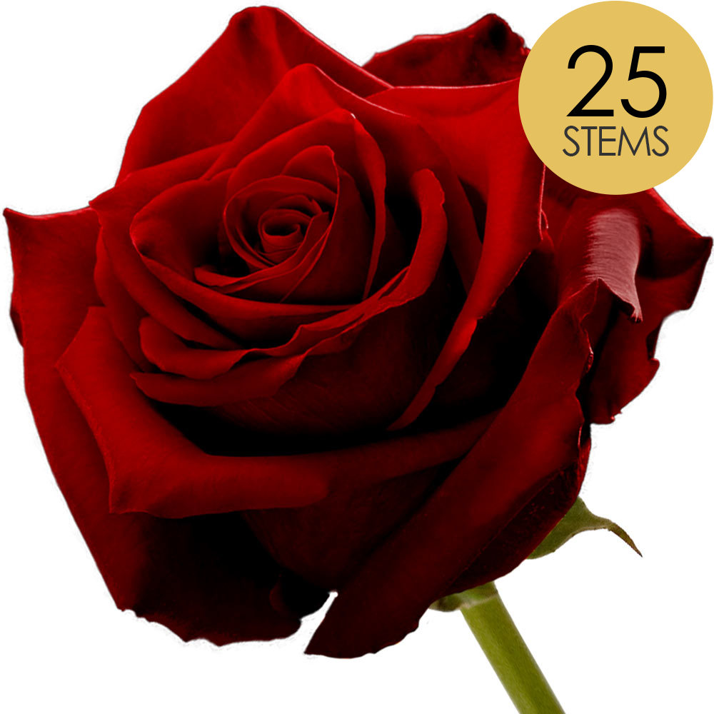 25 Red (Naomi) Roses