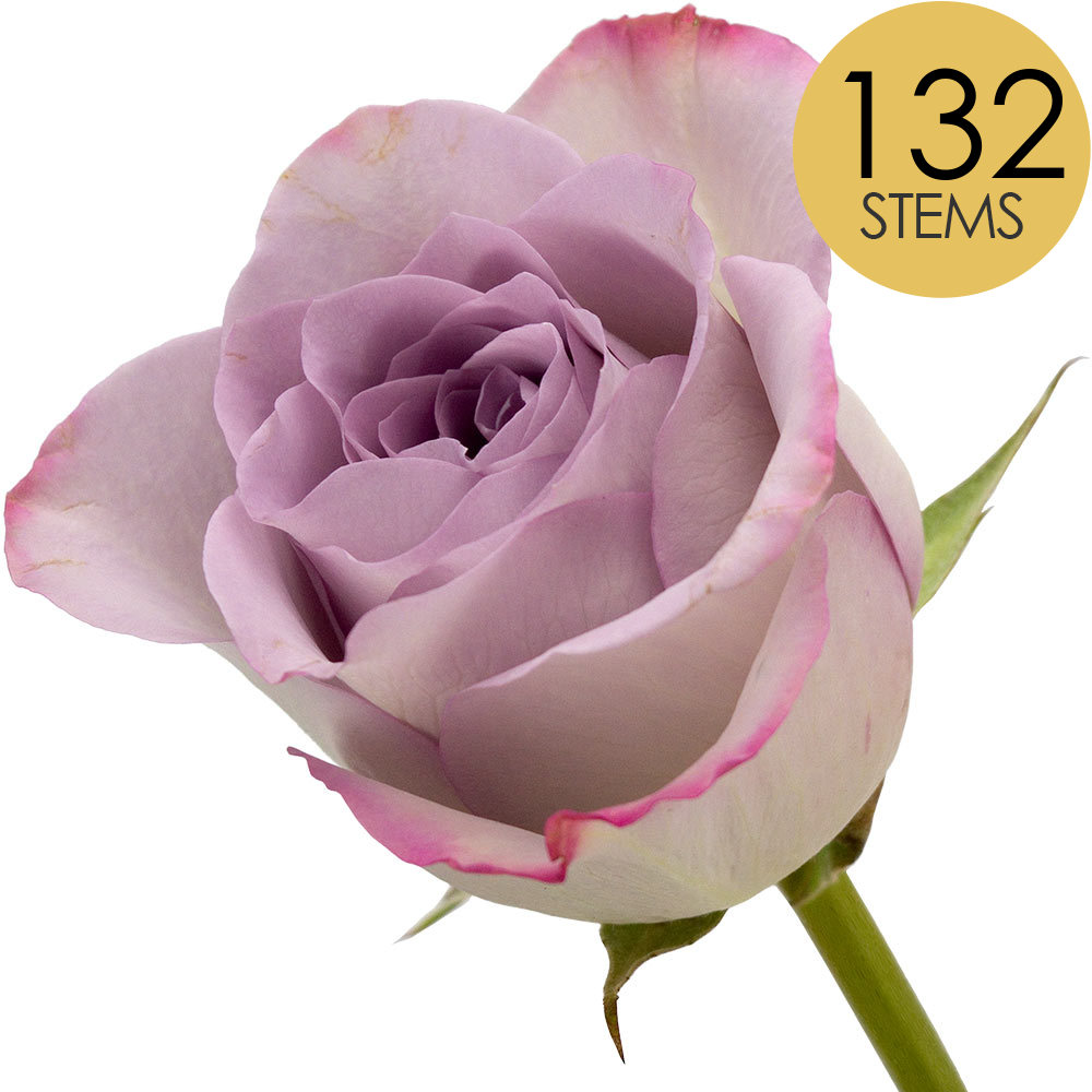132 Bulk Lilac Roses