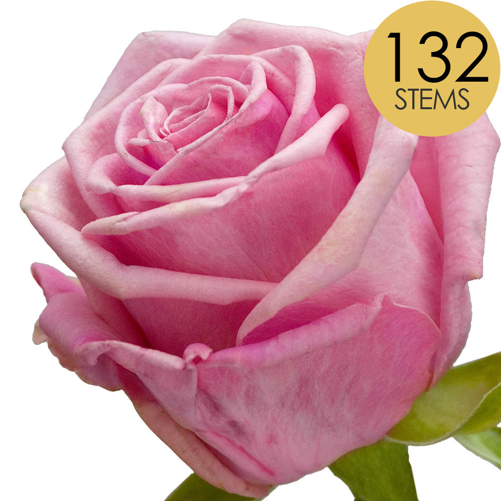 132 Bulk Pink Roses