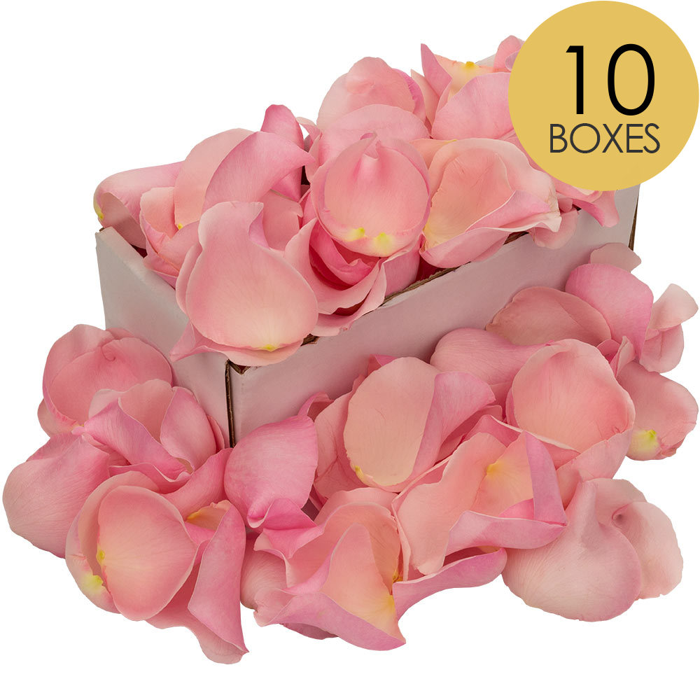 10 Boxes of Pink Rose Petals