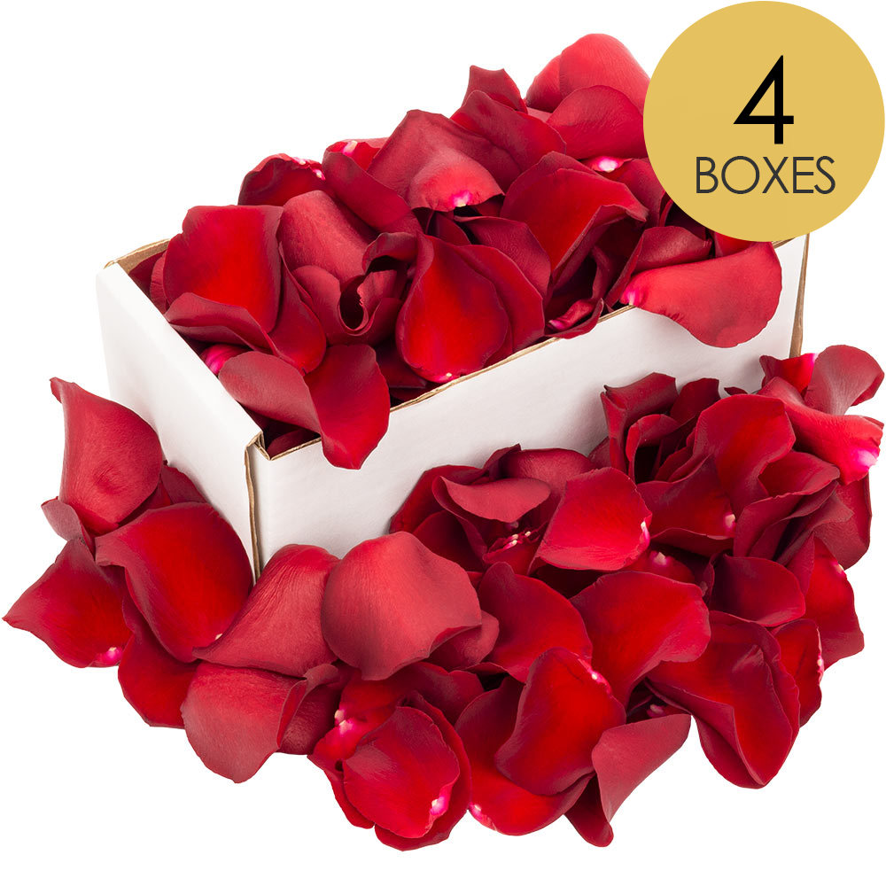 4 Boxes of Red (Naomi) Rose Petals