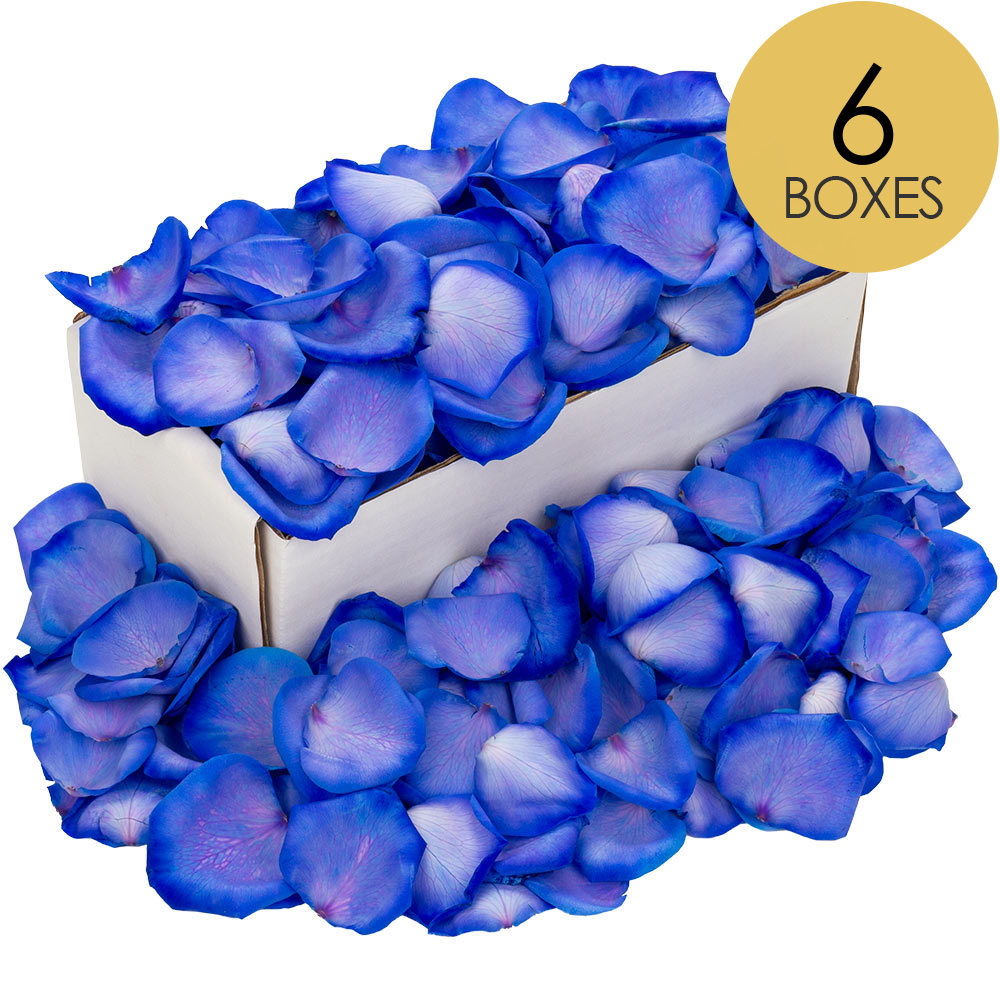 6 Boxes of Blue Rose Petals