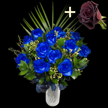 11 Blue Roses and a Black Baccara Rose