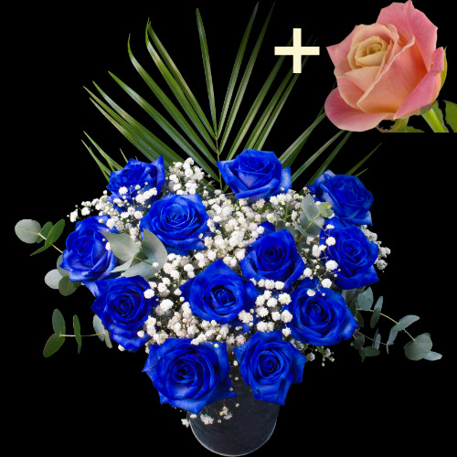 11 Blue Roses and a Peach Rose
