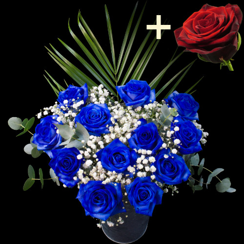 11 Blue Roses and a Grand Prix Rose