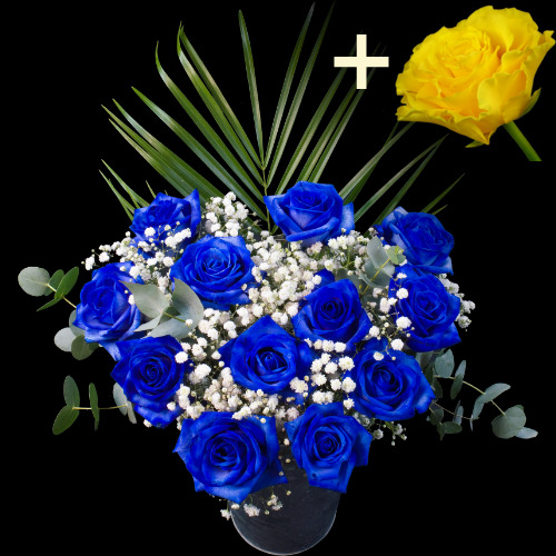 11 Blue Roses and a Yellow Rose