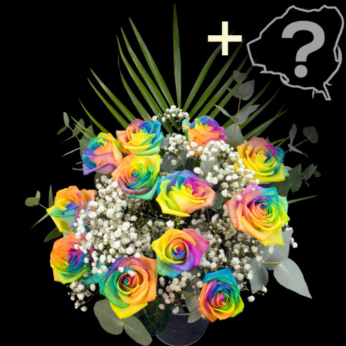 11 Happy Roses and a  Rose