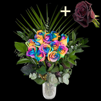 11 Happy Roses and a Black Baccara Rose
