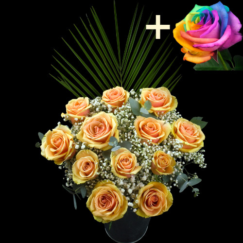 11 Peach Roses and a Happy Rose