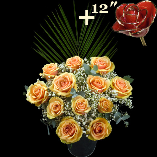 11 Peach Roses and a 12Inch Gold Trimmed Red Rose