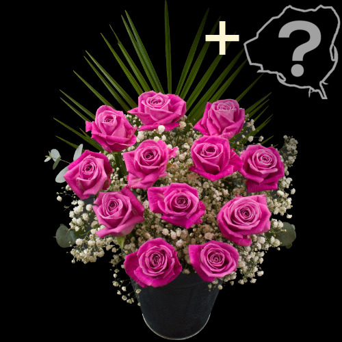 11 Pink Roses and a  Rose