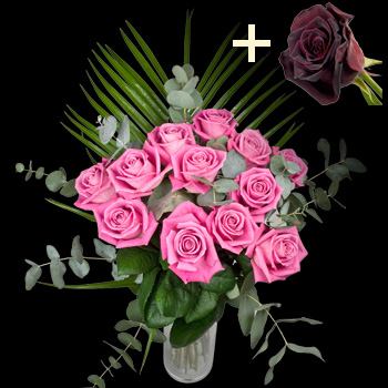 11 Pink Roses and a Black Baccara Rose