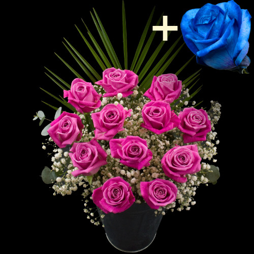 11 Pink Roses and a Blue Rose