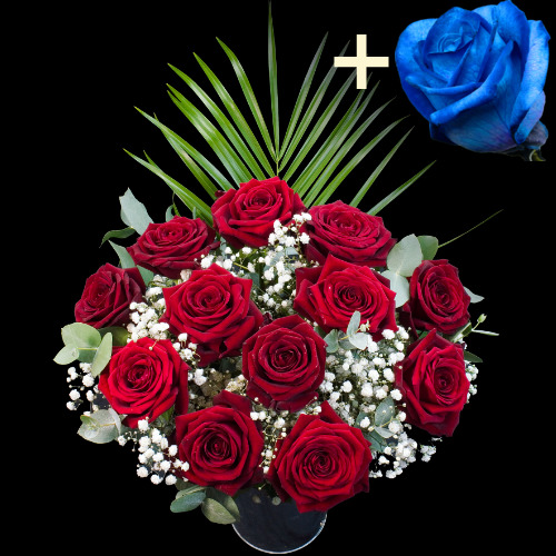 11 Grand Prix Roses and a Blue Rose