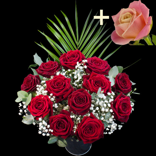 11 Grand Prix Roses and a Peach Rose