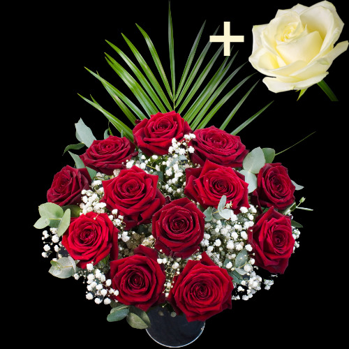 11 Grand Prix Roses and a White Rose